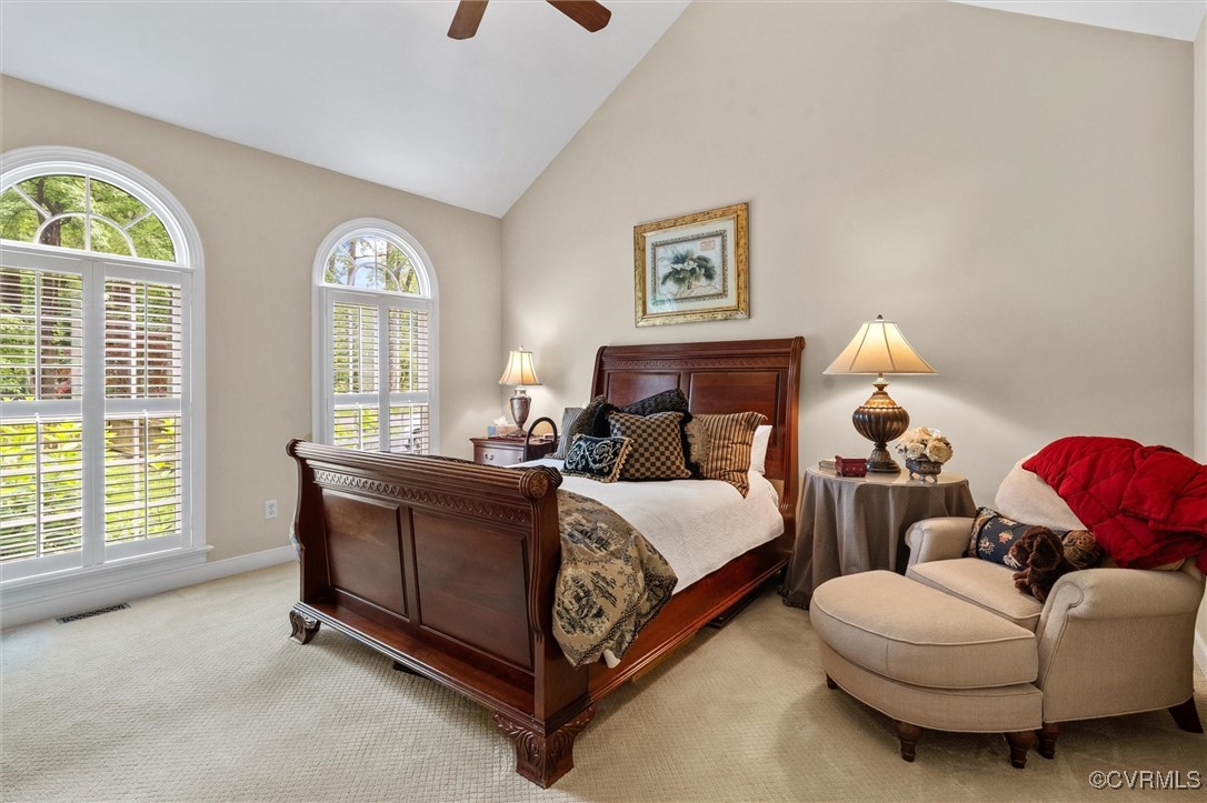 5911 Waters Edge Road Midlothian, VA 23112 - Photo 28 of 50 Bedroom with light colored carpet, baseboards, cei