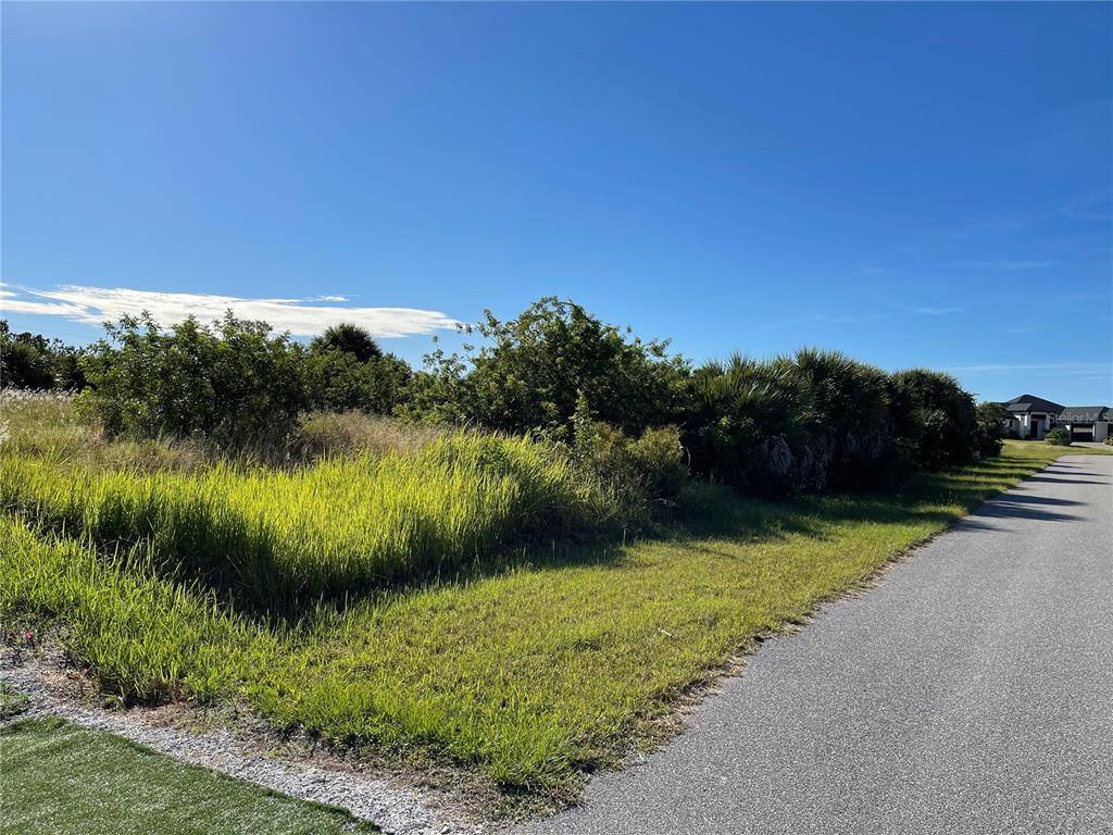 Buildable lot for your next home on Harlingen Waterway