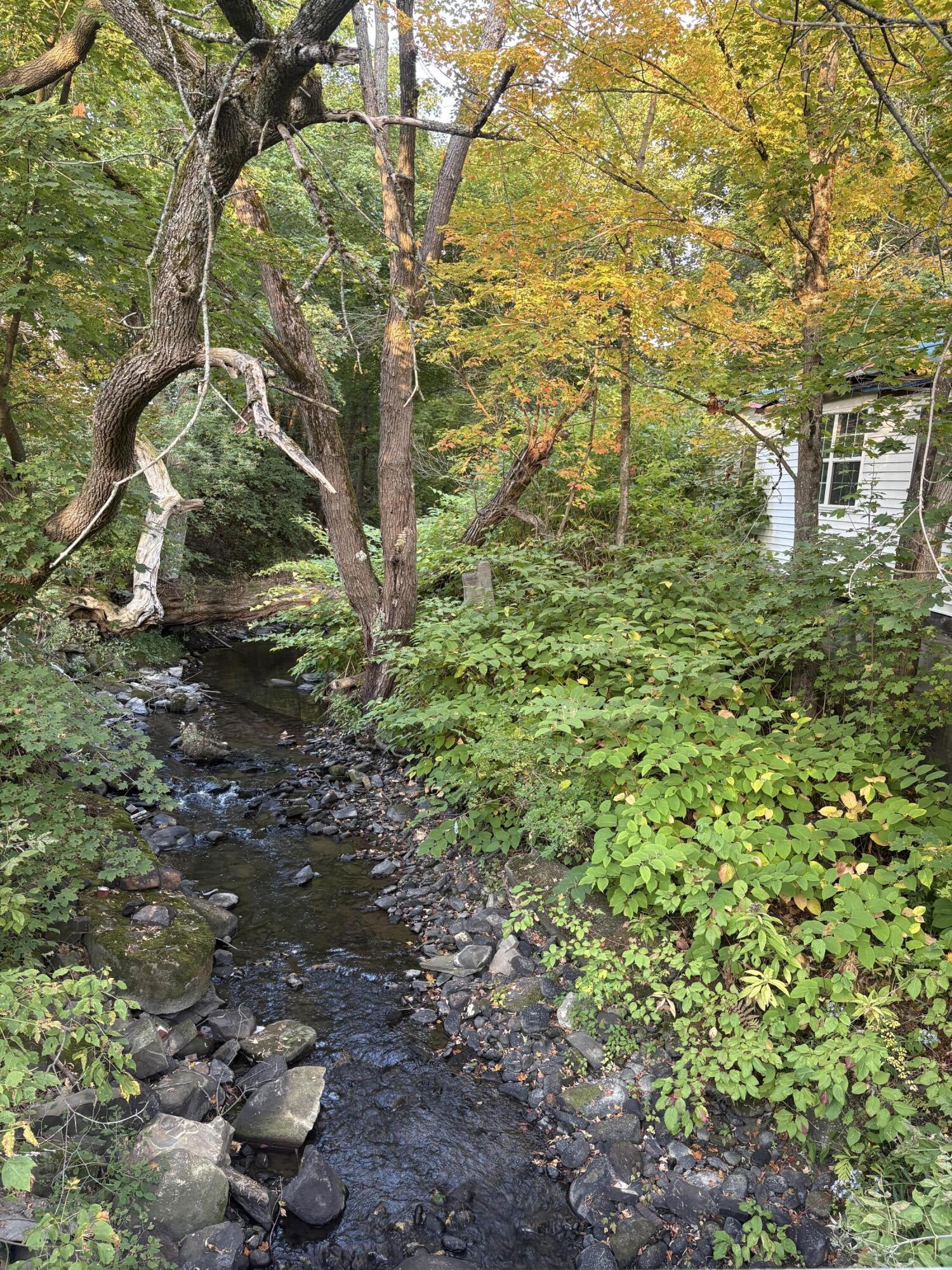 8 Brook Street Anson, ME 04911 - Photo 15 of 16 IMG_1083