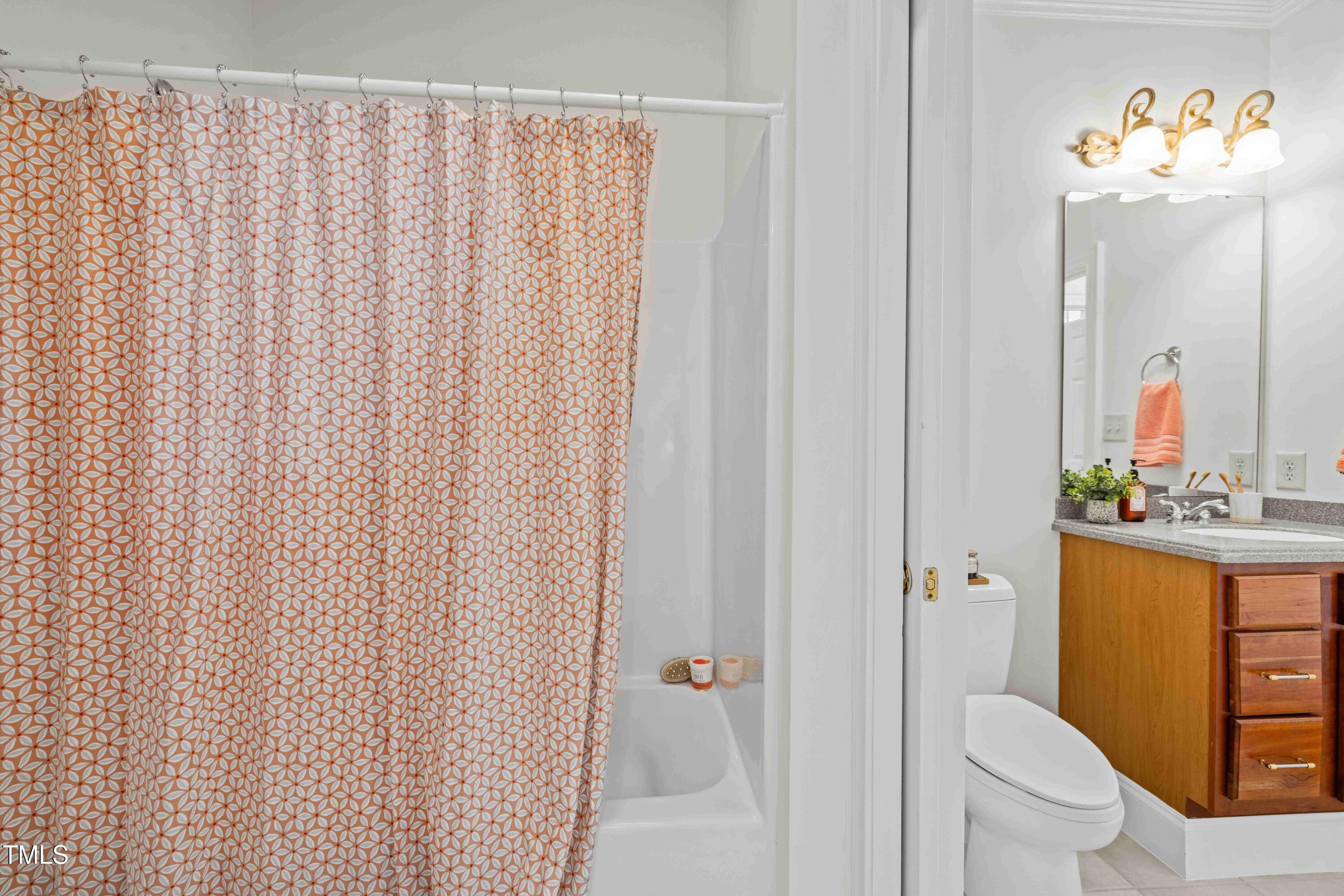 10040 Ward Chapel Hill, NC 27517 - Photo 12 of 56 a bathroom with a sink a toilet and a mirror