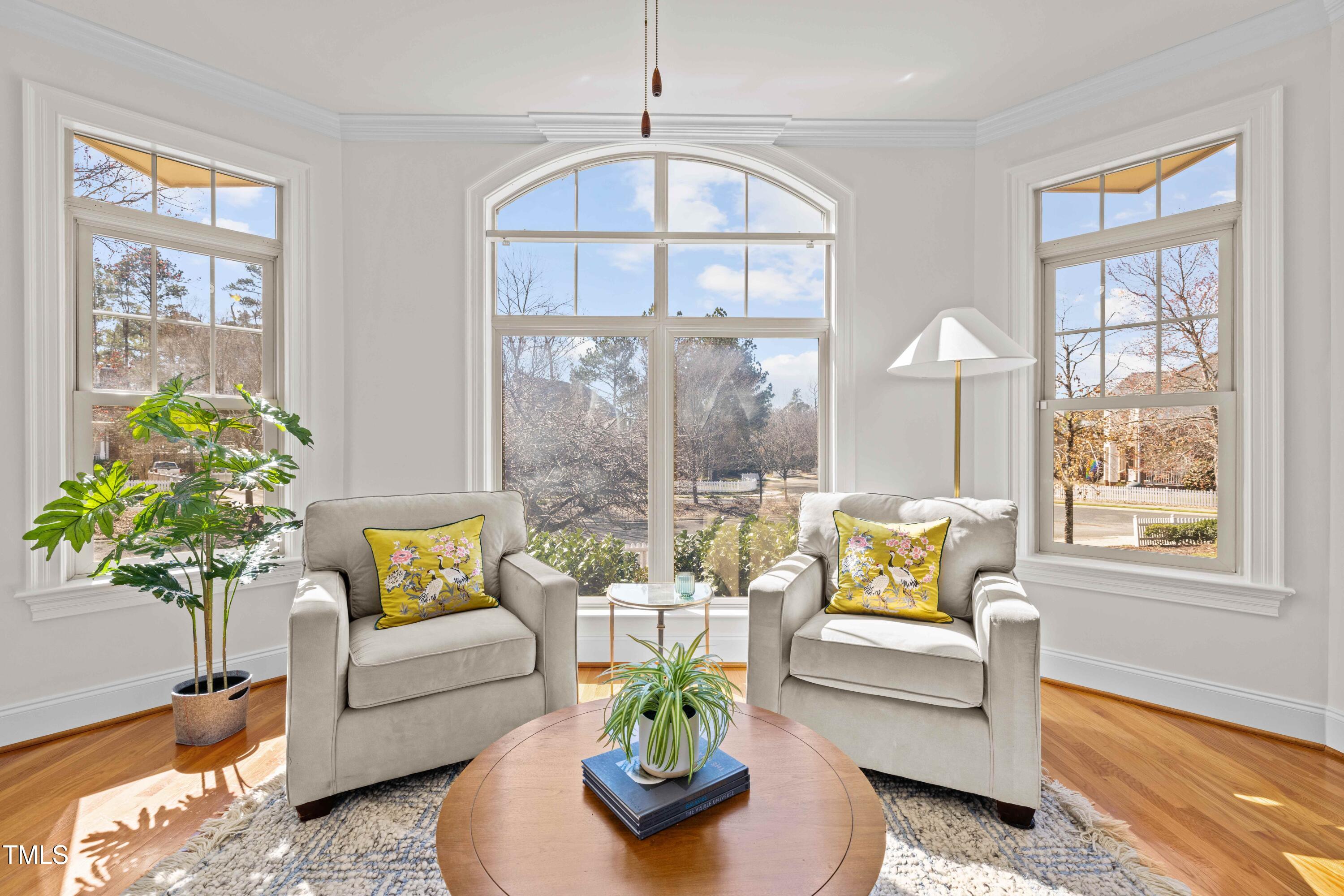 10040 Ward Chapel Hill, NC 27517 - Photo 6 of 56 a living room with furniture and a potted plant