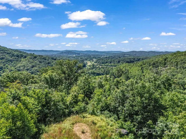 a view of a large yard with lots of green space