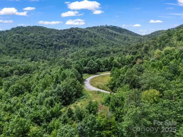 a view of a lush green forest with lots of trees
