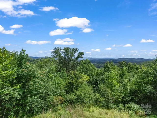 a view of a bunch of trees