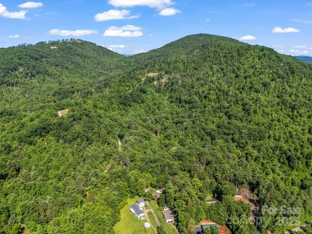 a view of a lush green space