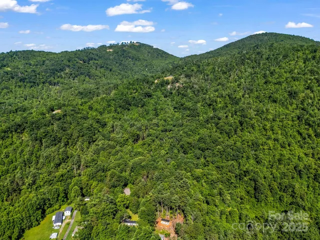 a view of a lush green space