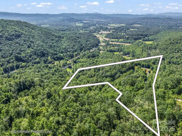a view of a yard with a street