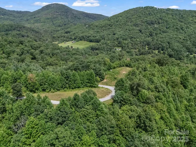 a view of a lush green forest with lush green forest