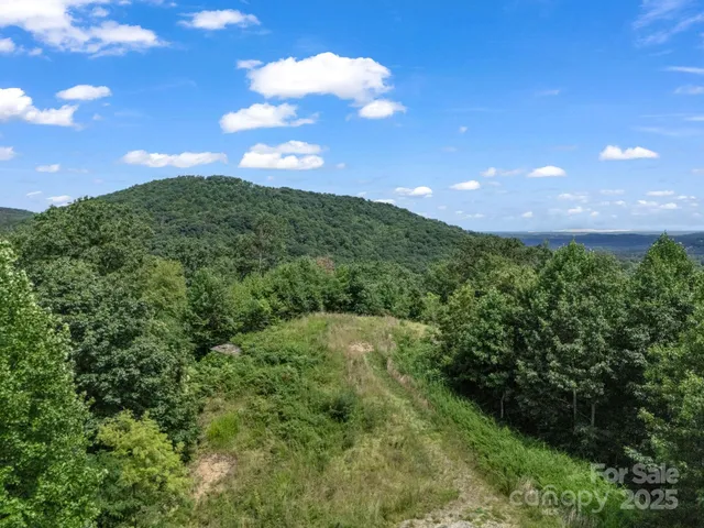 a view of a big yard with lots of green space and mountain view