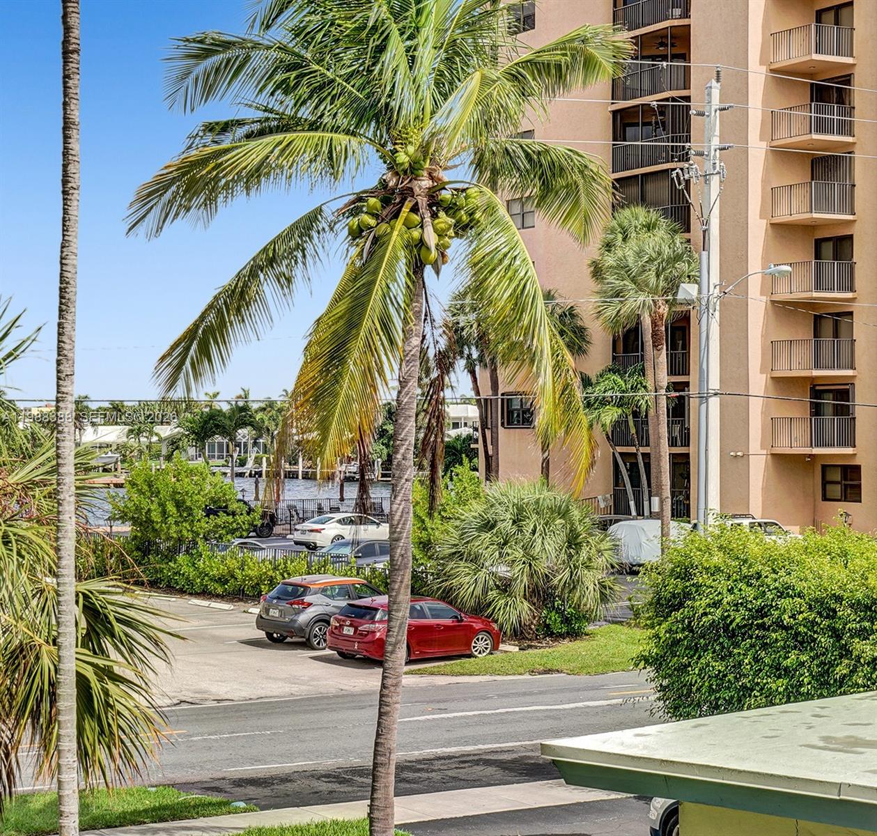 400 North Riverside Drive, Unit 214 Pompano Beach, FL 33062 - Photo 11 of 67 a view of a palm trees front of house