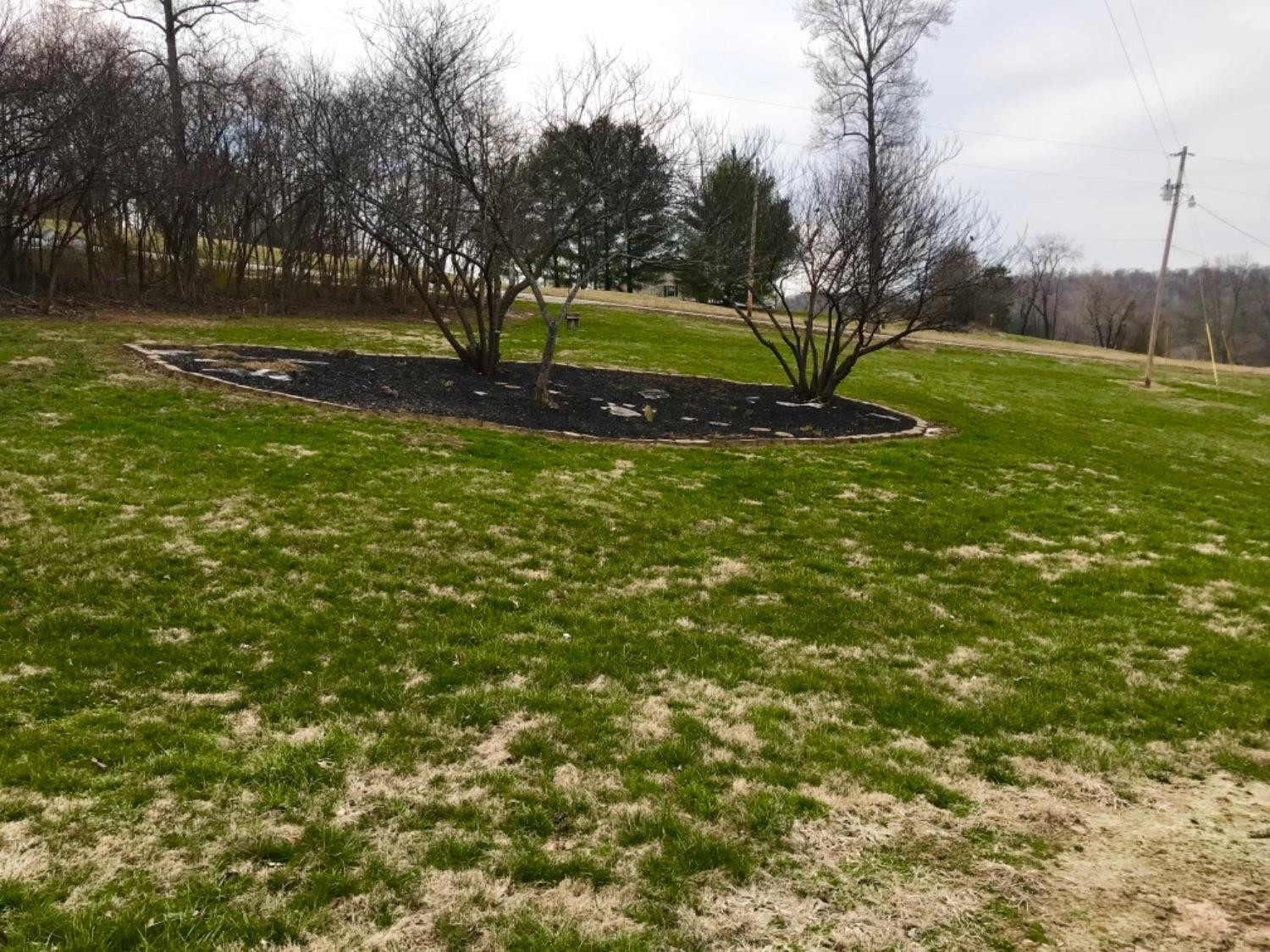 1644 Sand Springs Road Mount Vernon, KY 40456 - Photo 25 of 48 Listing Photo