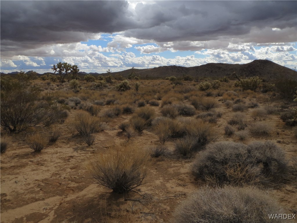 11844 South Desert View Road Yucca, AZ 86438 - Photo 2 of 11 Property View