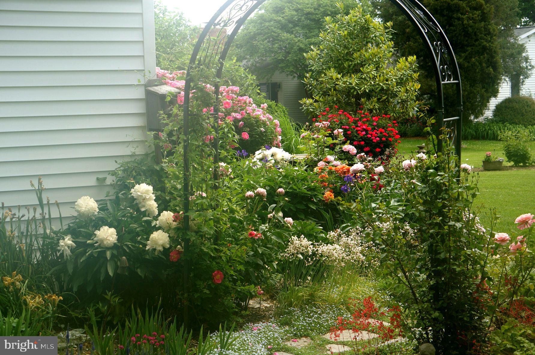 602 Cove Road St. Michaels, MD 21663 - Photo 36 of 79 A gardeners garden.