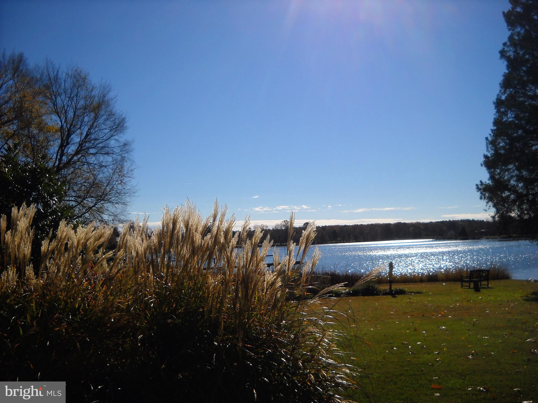 602 Cove Road St. Michaels, MD 21663 - Photo 42 of 79 Your view changes with the seasons