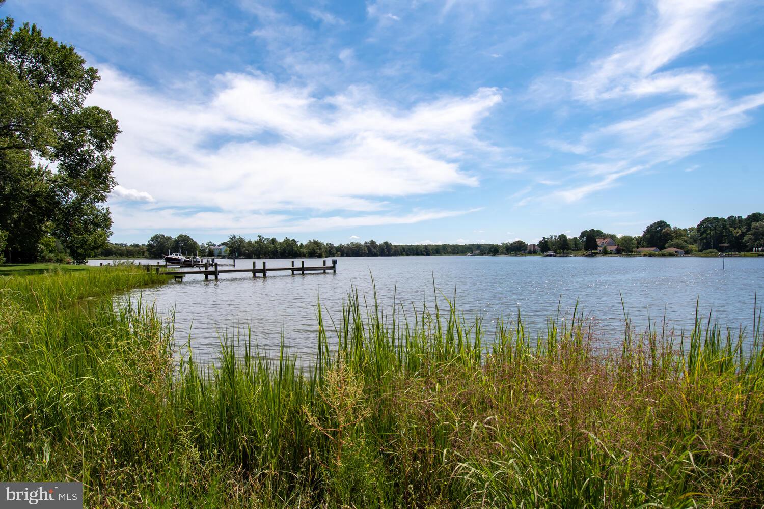 602 Cove Road St. Michaels, MD 21663 - Photo 65 of 79 View from back yard of Spencer Cove