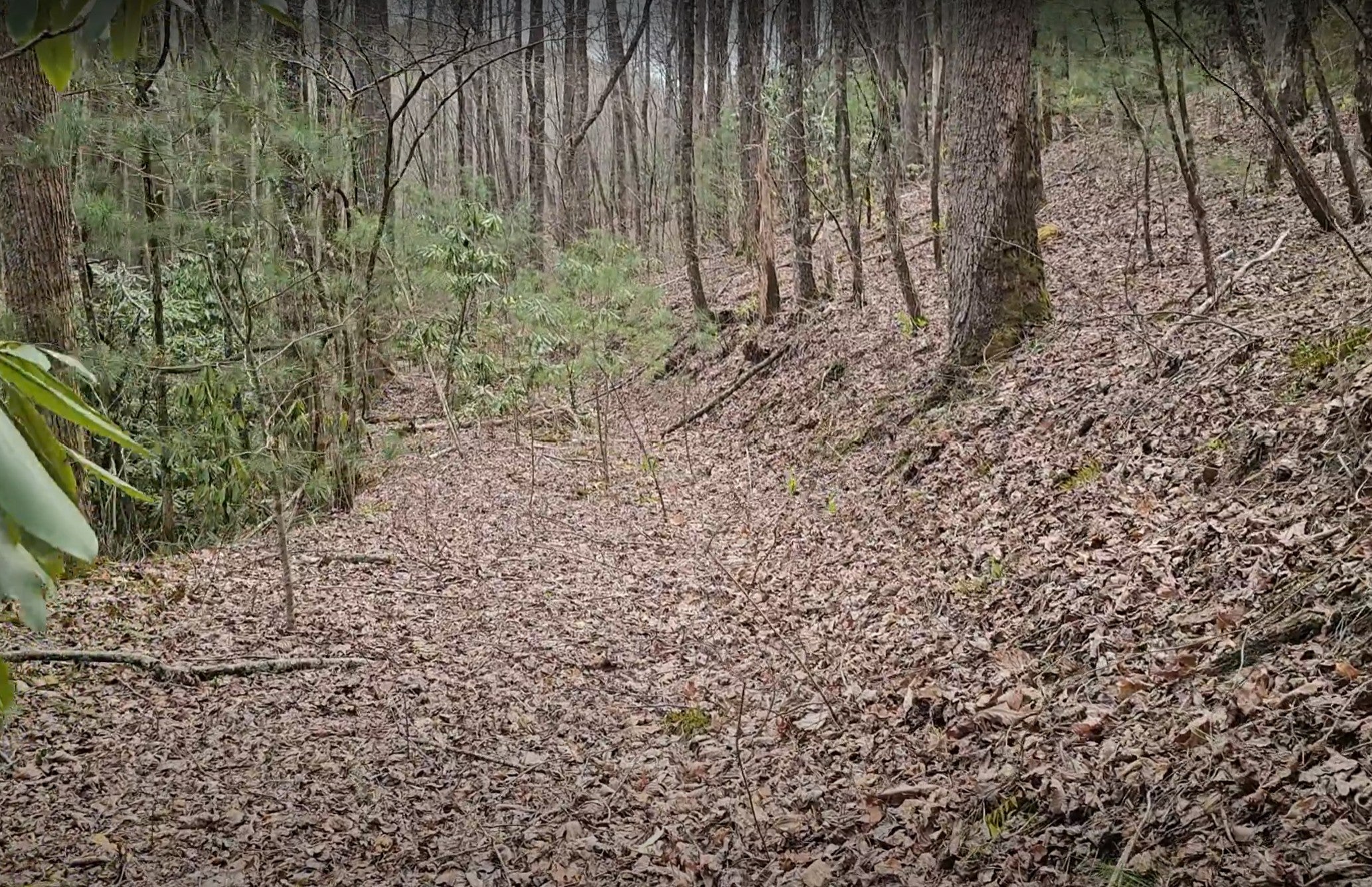 0 Falls Road Scaly Mountain, NC 28775 - Photo 16 of 23 Gallery Image 16