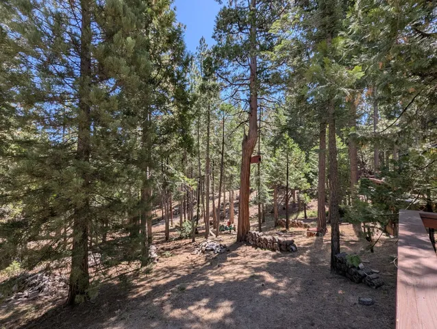 a view of outdoor space with trees