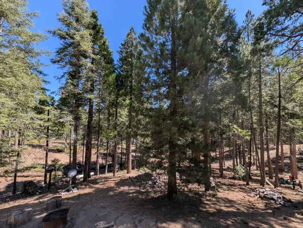 a view of a street with houses