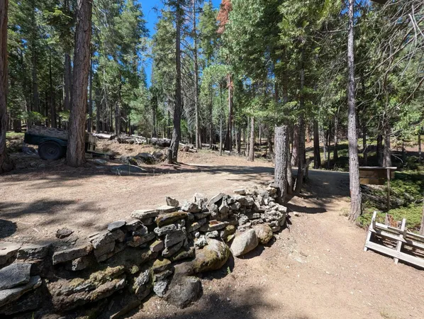 a view of a backyard with trees