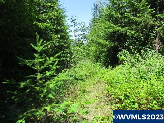 Mt Pleasant Road Lebanon, OR 97355 - Photo 1 of 5