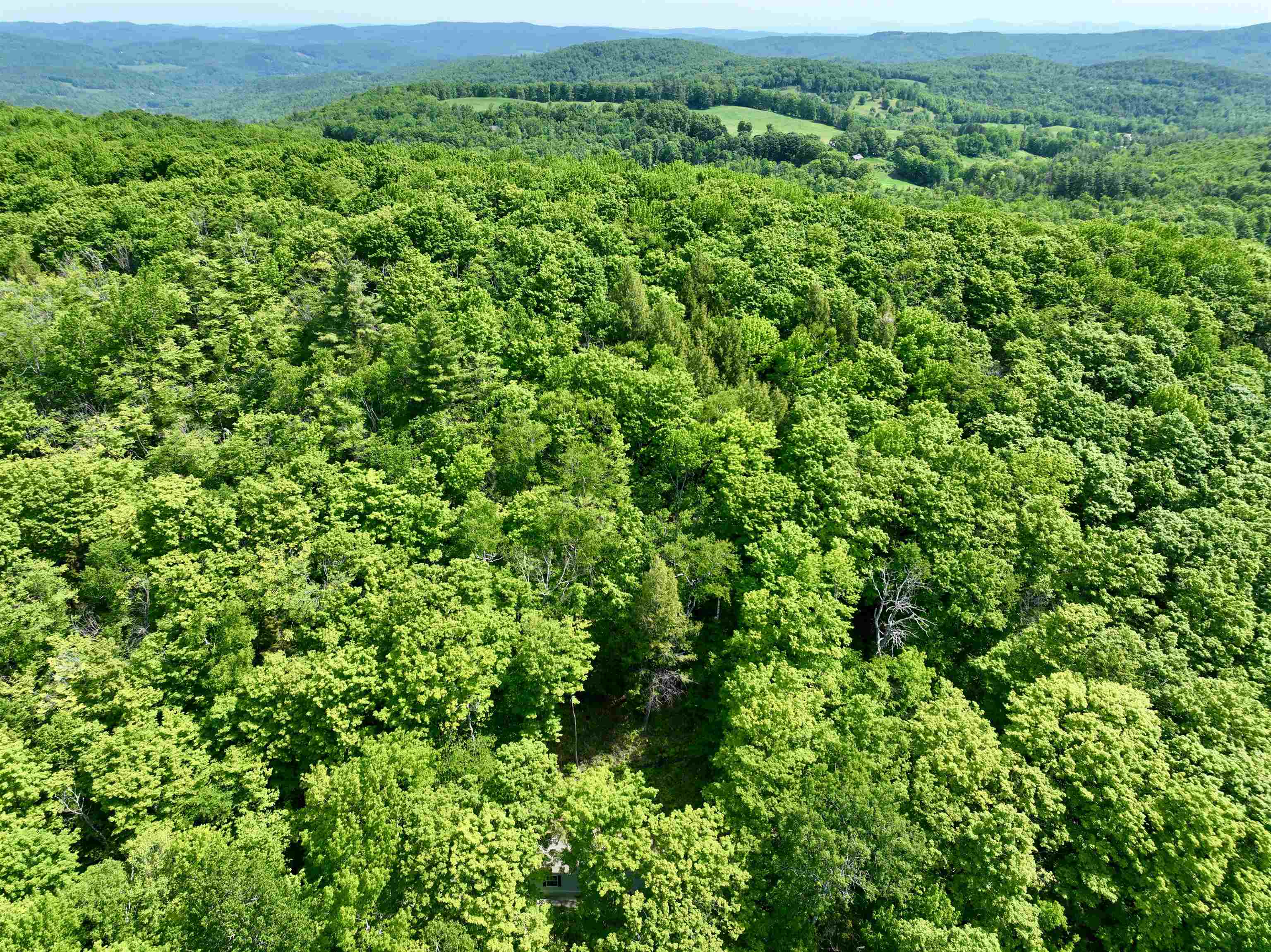 1190 Long Hill Road Woodstock, VT 05071 - Photo 6 of 12