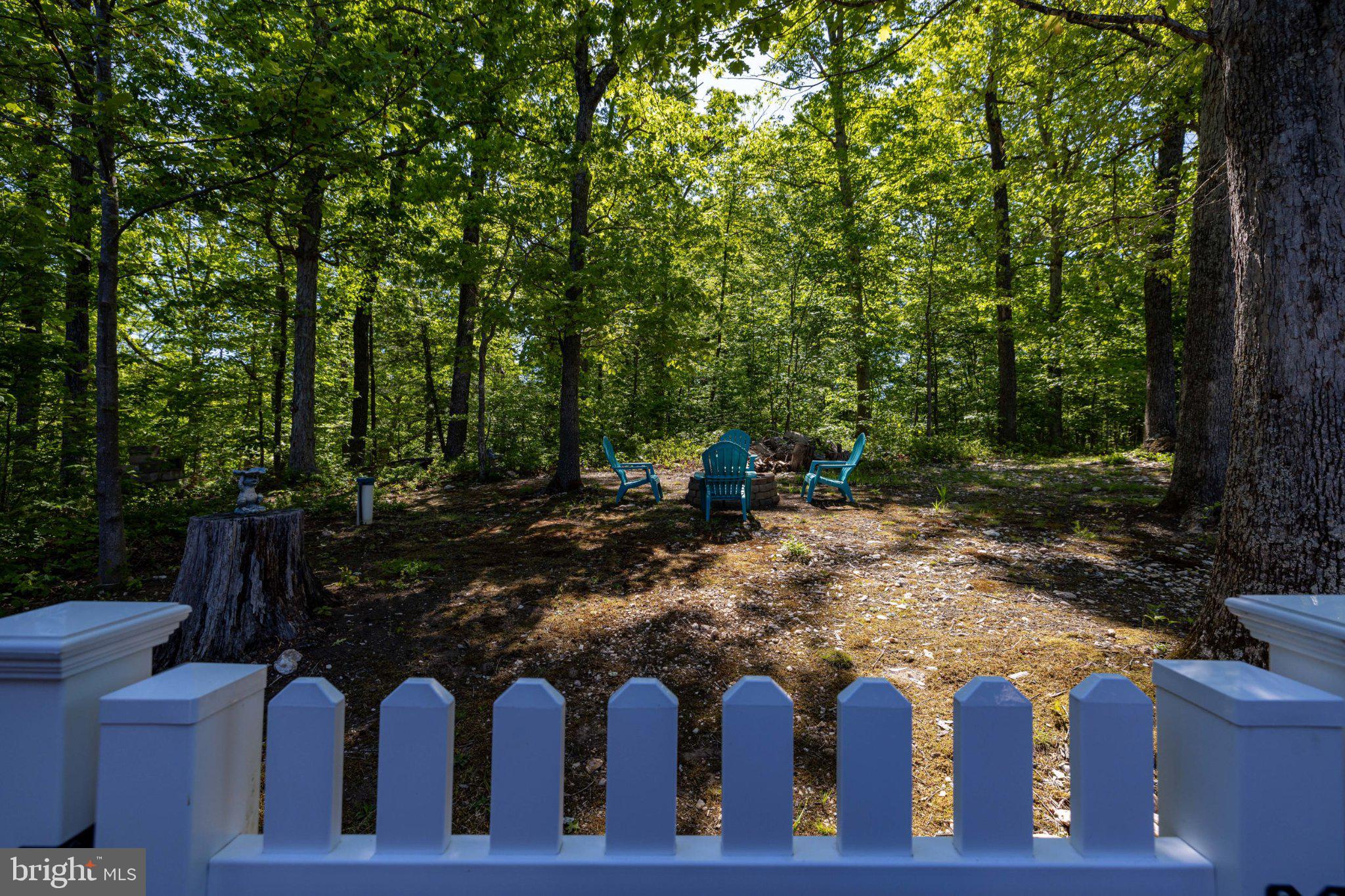 246 Lawsons Farm Circle Ruckersville, VA 22968 - Photo 108 of 130 Tranquil retreat in lush greenery.