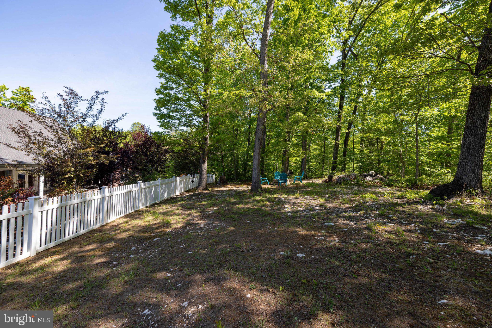 246 Lawsons Farm Circle Ruckersville, VA 22968 - Photo 112 of 130 a view of a yard with plants and trees