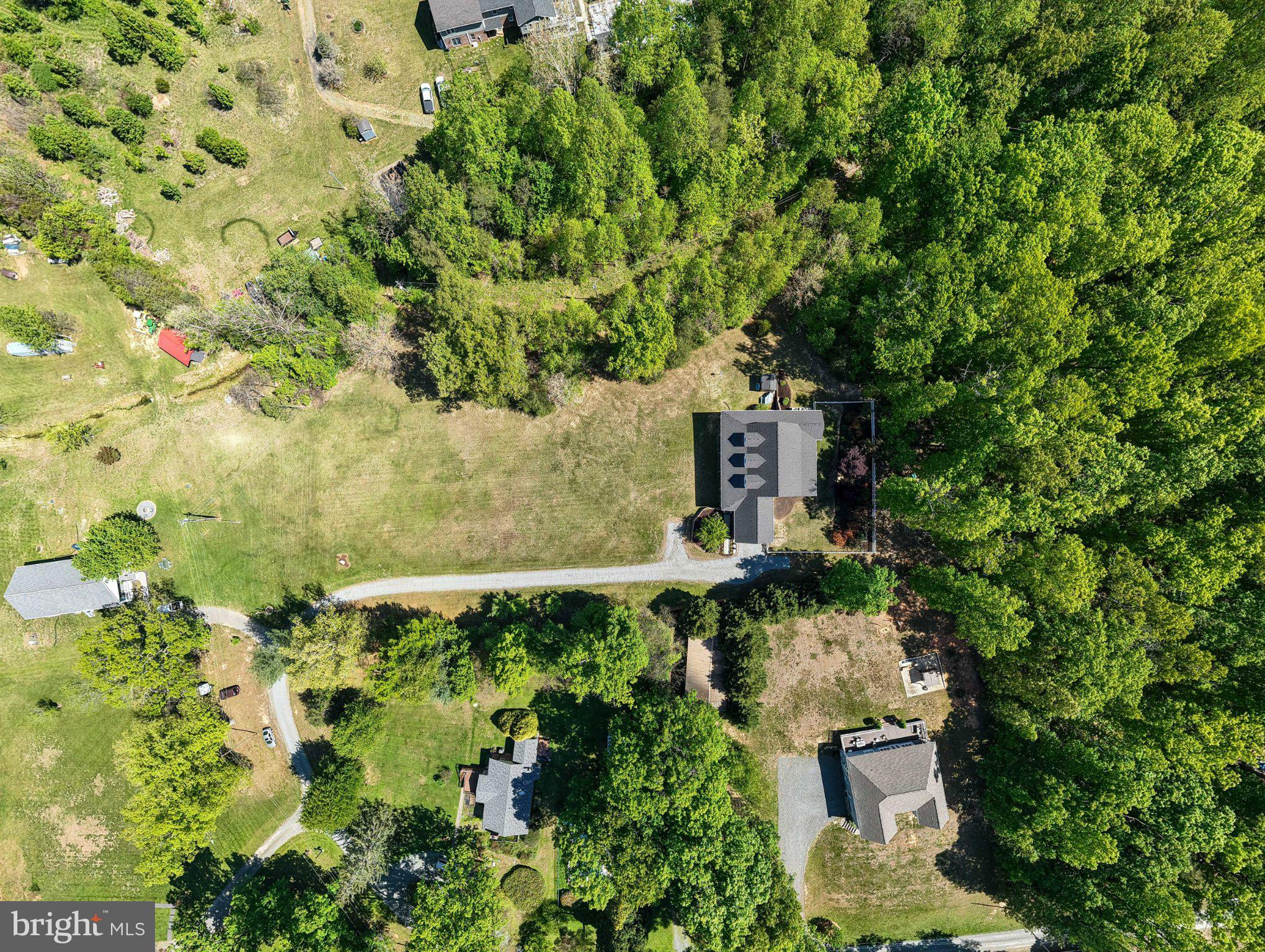 246 Lawsons Farm Circle Ruckersville, VA 22968 - Photo 114 of 130 Serene retreat amidst lush greenery.