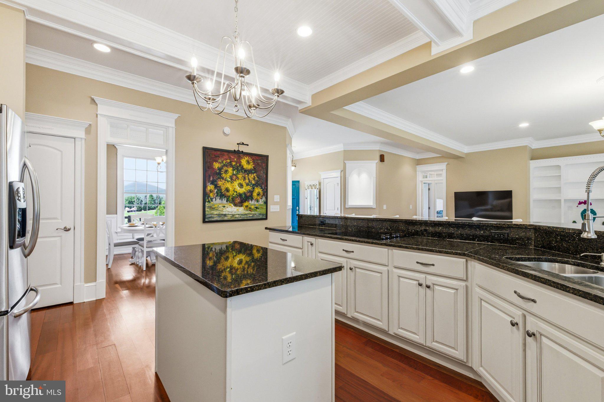 246 Lawsons Farm Circle Ruckersville, VA 22968 - Photo 16 of 130 Elegant kitchen with modern finishes.