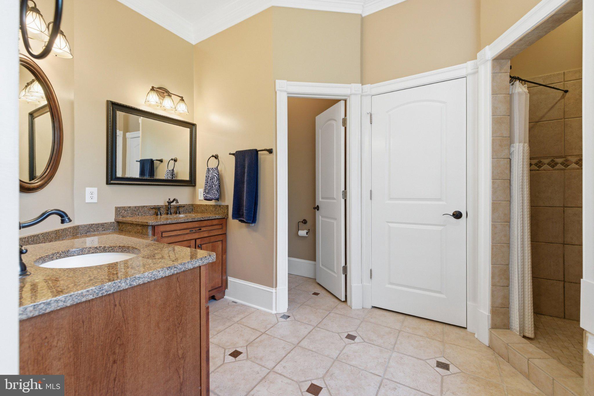 246 Lawsons Farm Circle Ruckersville, VA 22968 - Photo 39 of 130 Elegant bathroom with modern finishes.