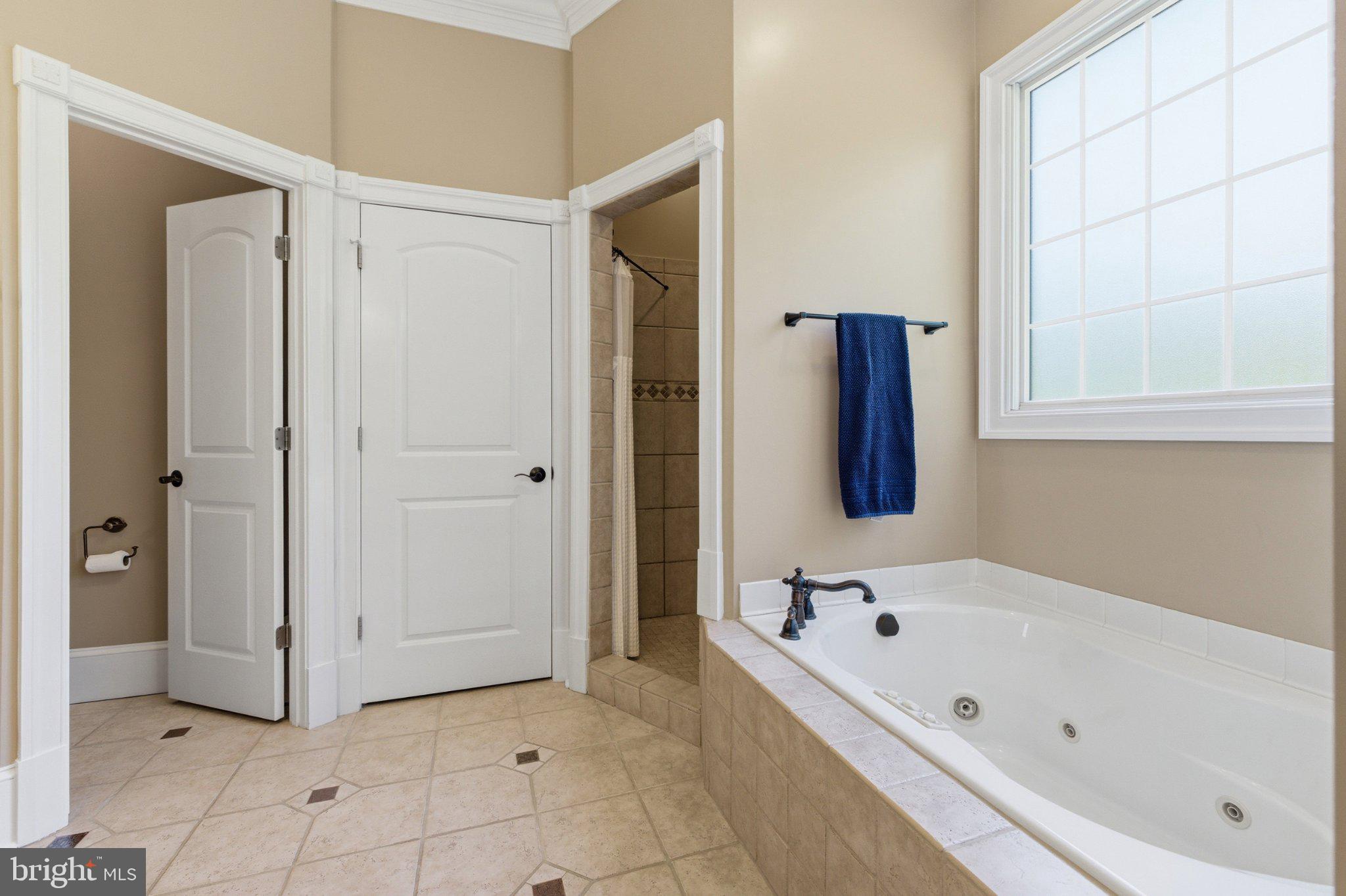 246 Lawsons Farm Circle Ruckersville, VA 22968 - Photo 40 of 130 Elegant bathroom retreat with natural light.