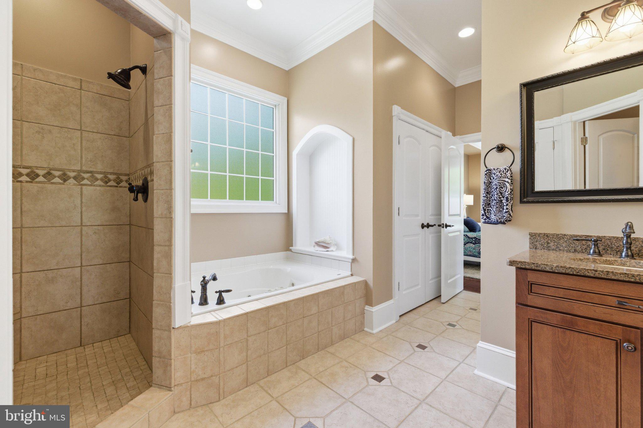 246 Lawsons Farm Circle Ruckersville, VA 22968 - Photo 43 of 130 a bathroom with a tub sink and mirror