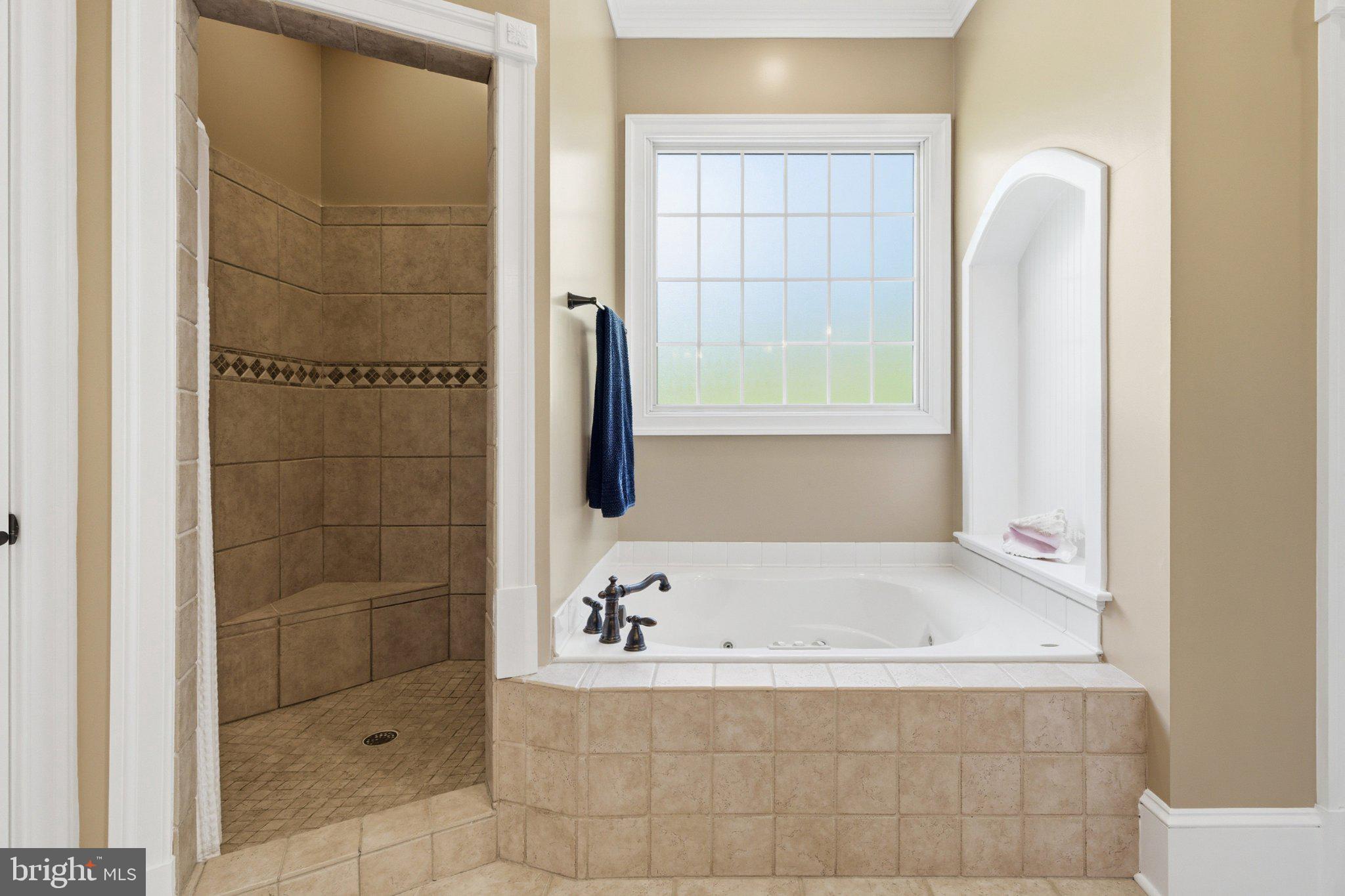 246 Lawsons Farm Circle Ruckersville, VA 22968 - Photo 44 of 130 Elegant bathroom retreat with natural light.