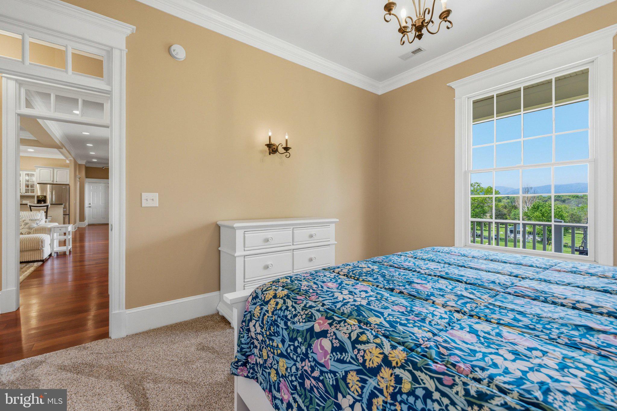 246 Lawsons Farm Circle Ruckersville, VA 22968 - Photo 47 of 130 a bedroom with a bed and a chandelier
