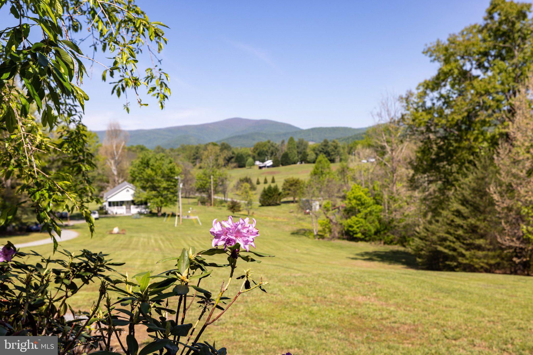 246 Lawsons Farm Circle Ruckersville, VA 22968 - Photo 81 of 130 a view of a swimming pool with a table and a chairs