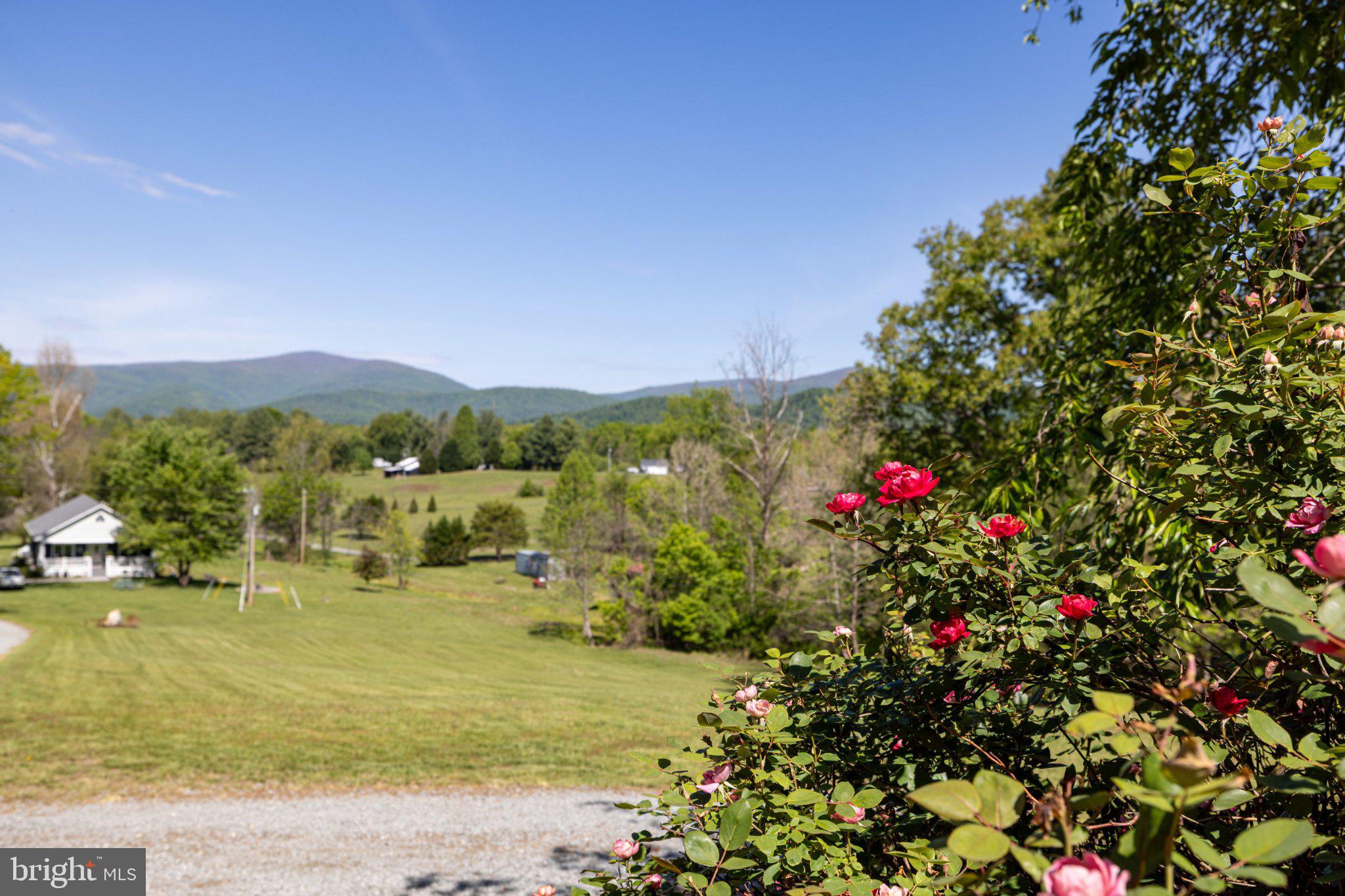 246 Lawsons Farm Circle Ruckersville, VA 22968 - Photo 82 of 130 a view of a town with mountains in the background