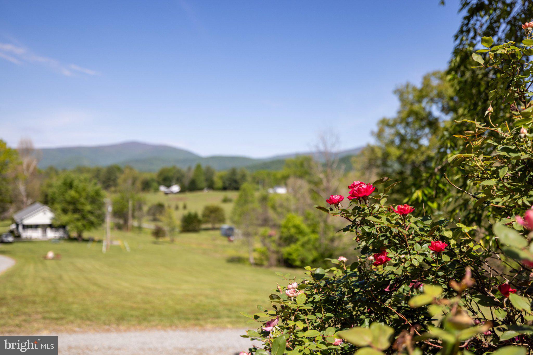 246 Lawsons Farm Circle Ruckersville, VA 22968 - Photo 83 of 130 a view of a town with mountains in the background