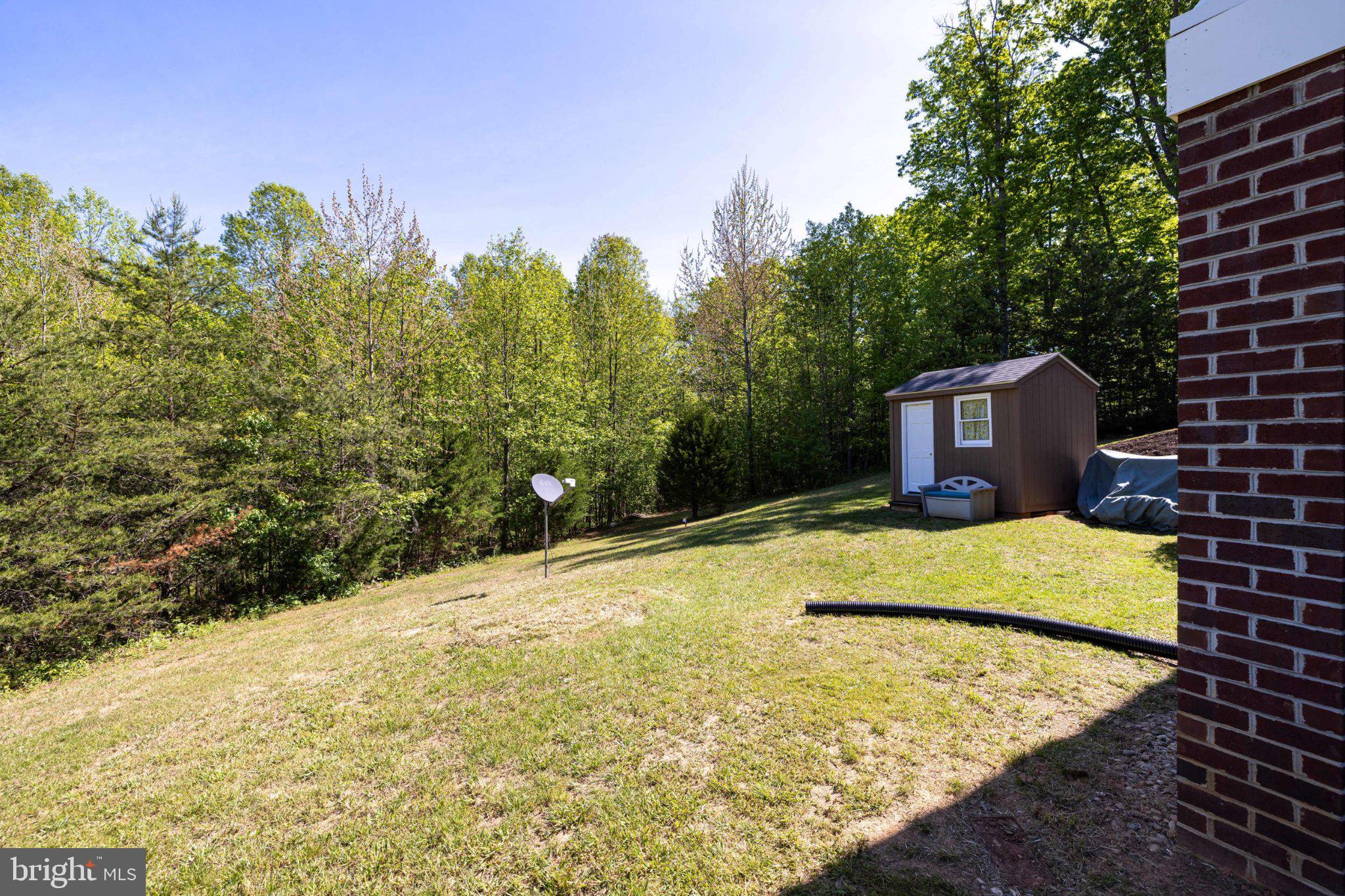 246 Lawsons Farm Circle Ruckersville, VA 22968 - Photo 90 of 130 Serene backyard with lush greenery.