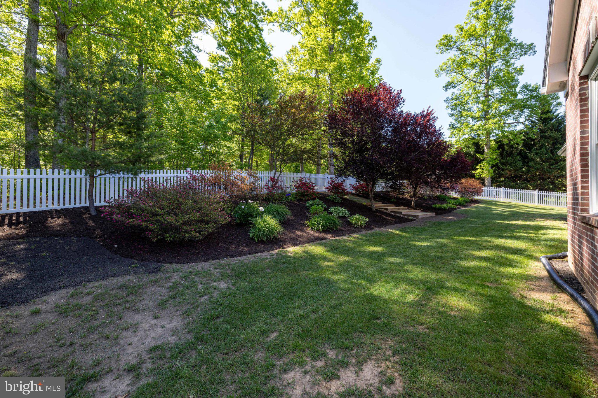 246 Lawsons Farm Circle Ruckersville, VA 22968 - Photo 100 of 130 a view of a backyard with plants and a tree