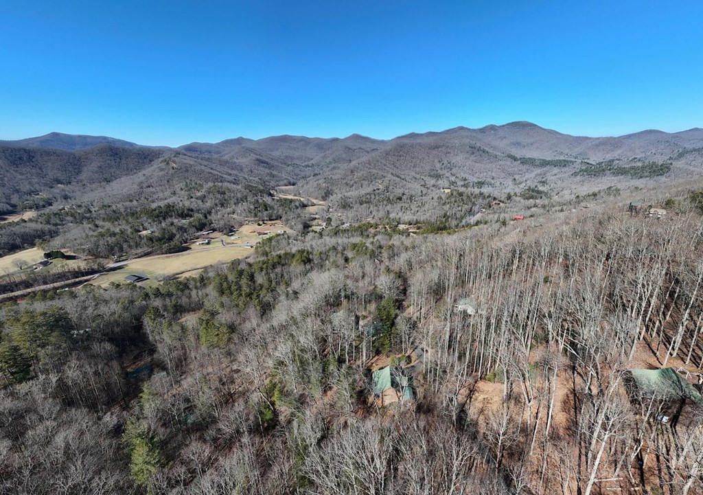 310 Barefoot Hill Road Hiawassee, GA 30546 - Photo 34 of 49