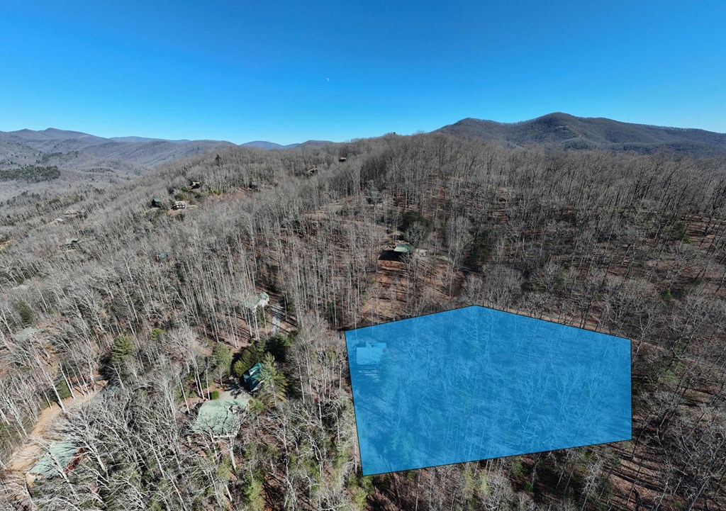 310 Barefoot Hill Road Hiawassee, GA 30546 - Photo 36 of 49