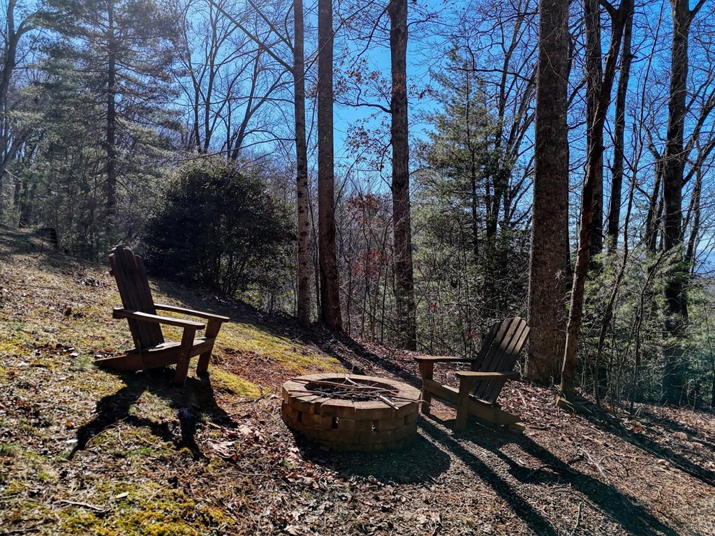 310 Barefoot Hill Road Hiawassee, GA 30546 - Photo 43 of 49