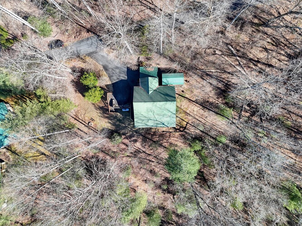 310 Barefoot Hill Road Hiawassee, GA 30546 - Photo 47 of 49