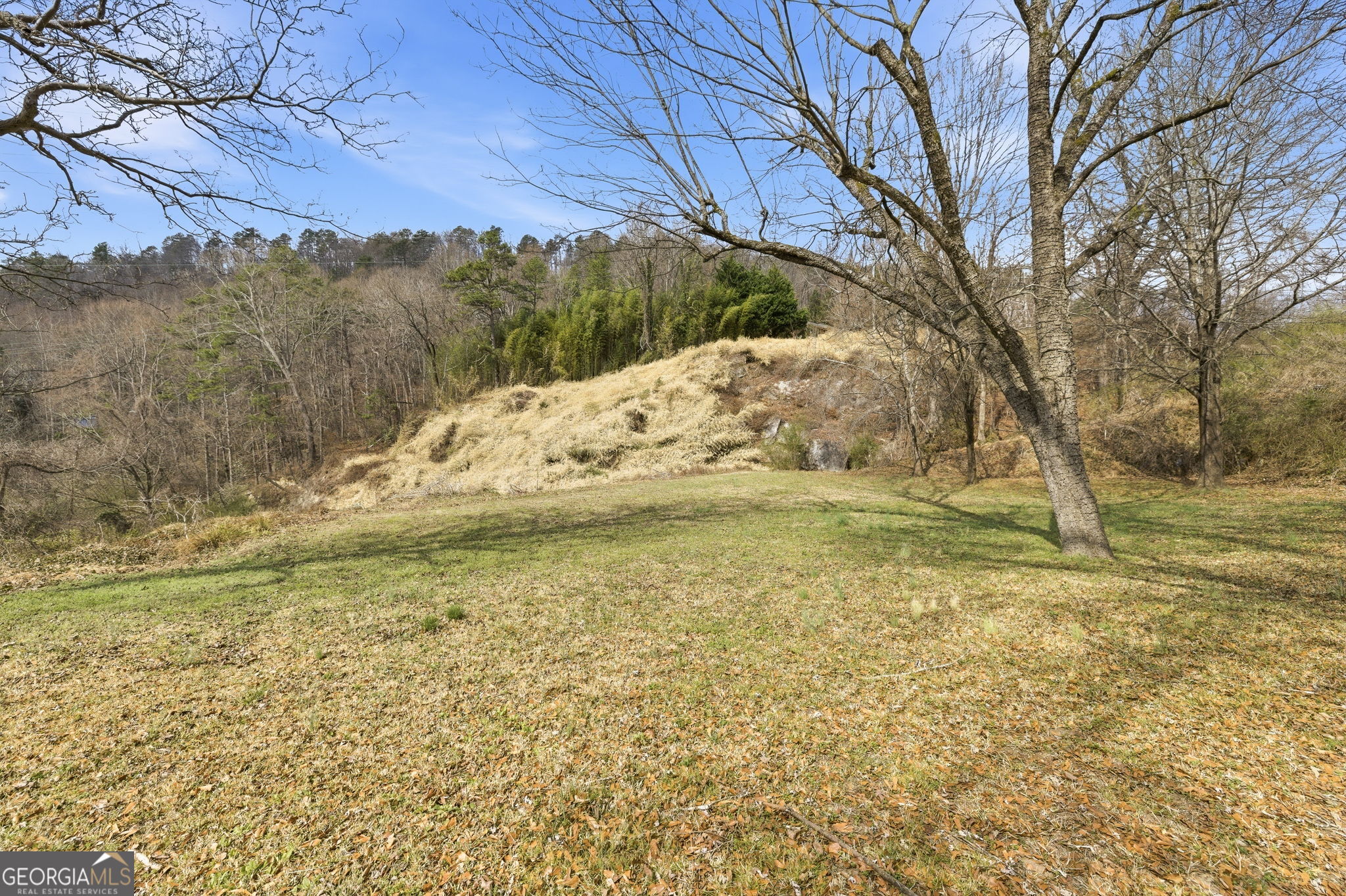 1879 Falls Road Toccoa, GA 30577 - Photo 33 of 36 a view of a yard with an trees