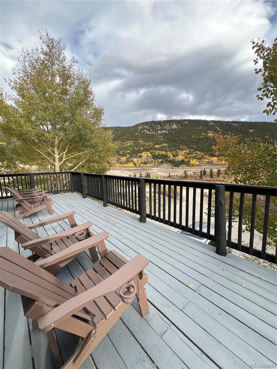 141 Quartzville Road Alma, CO 80420 - Photo 3 of 24