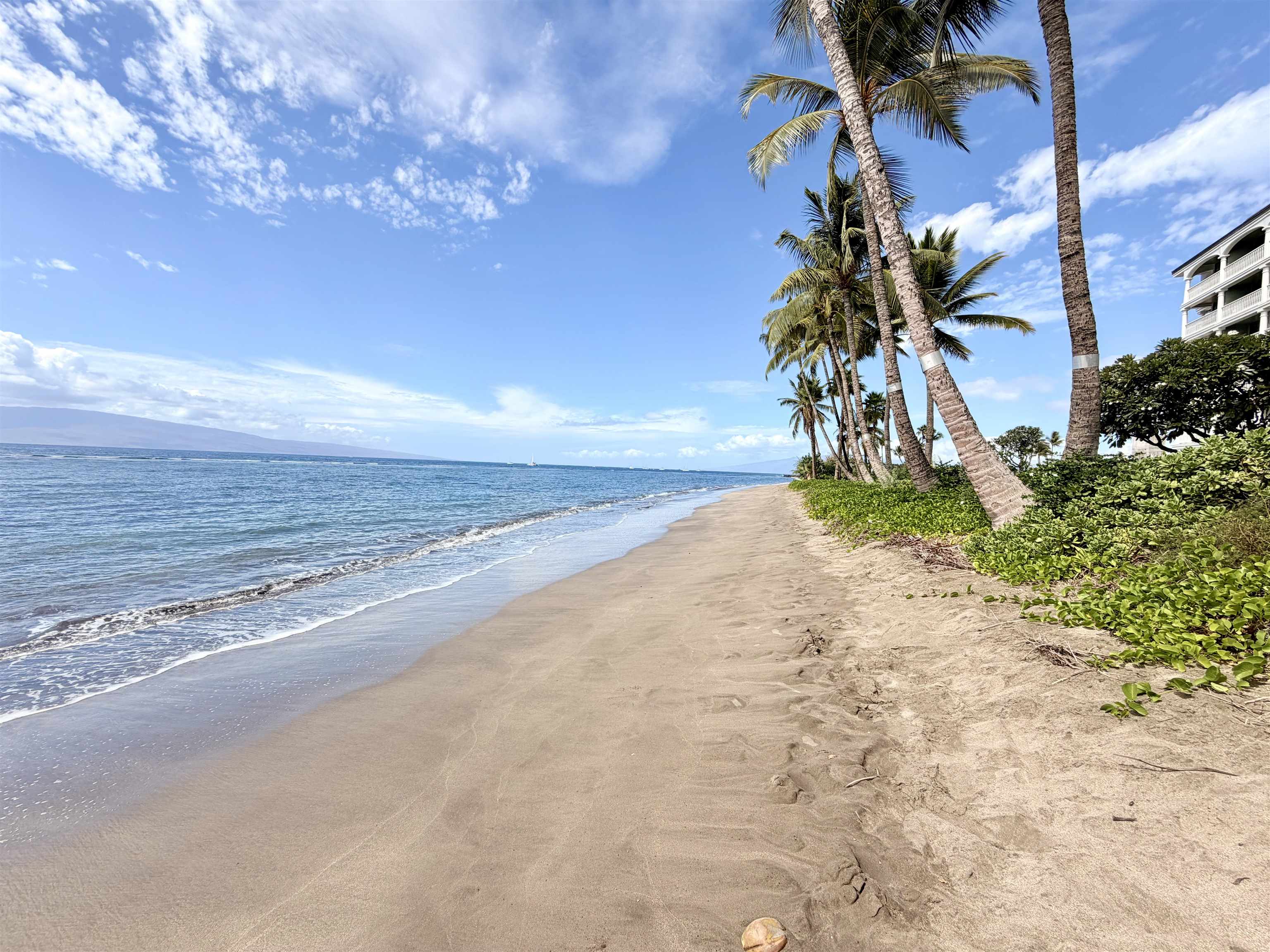 475 Front Street, Unit 320 Lahaina, HI 96761 - Photo 35 of 41 a view of beach and ocean view