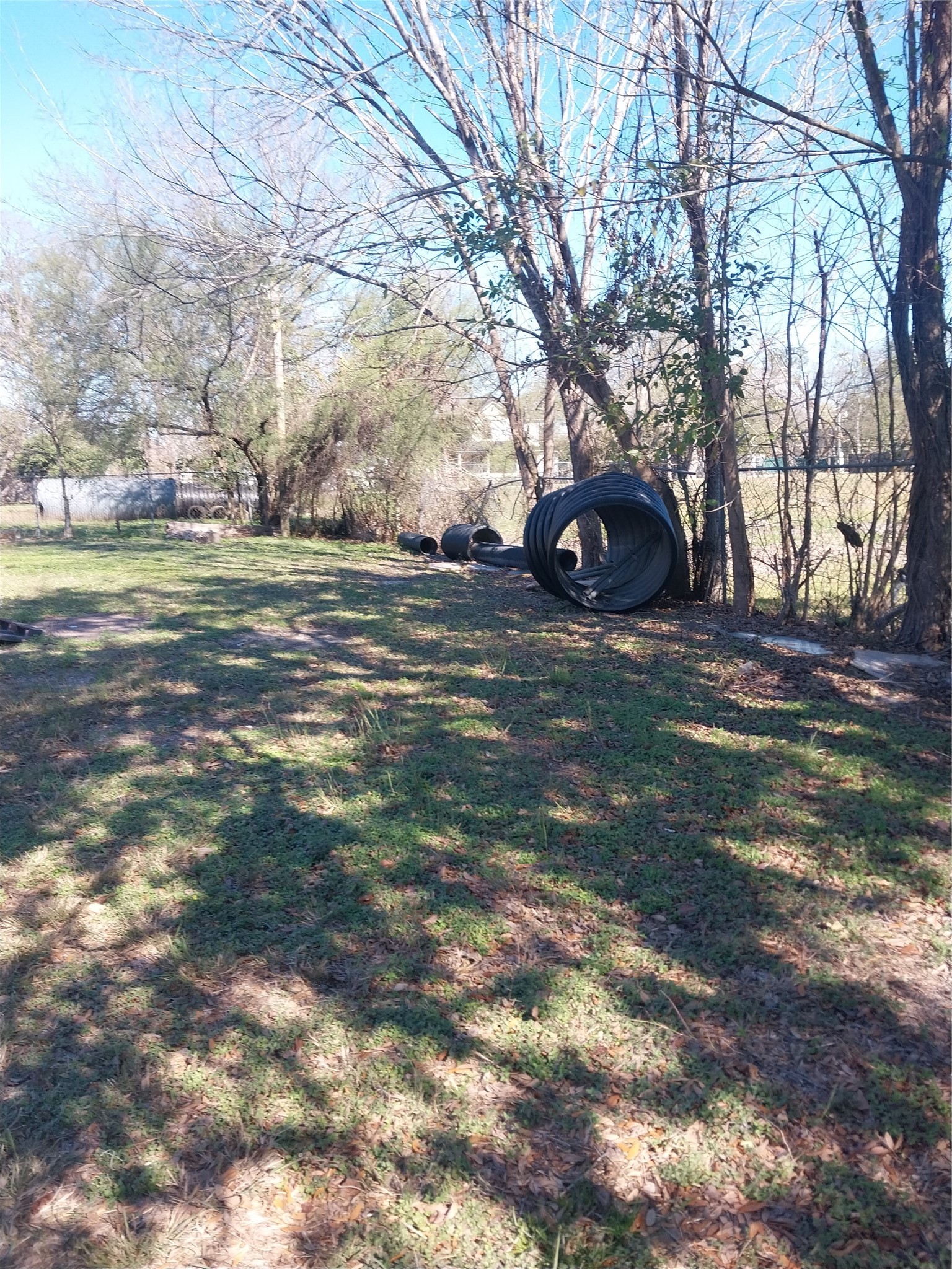 a view of a yard with a tree