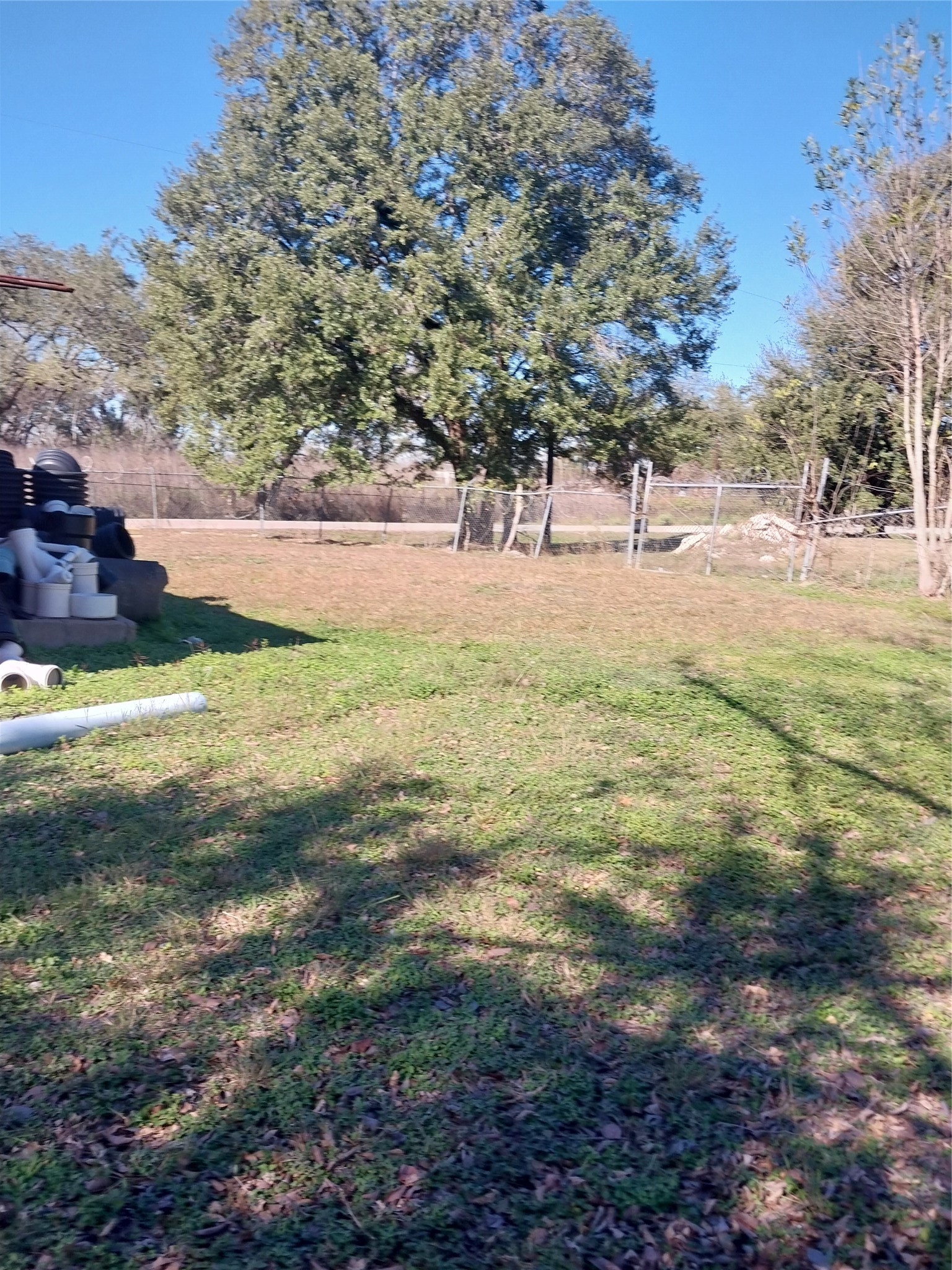 15153 Waterloo Drive Houston, TX 77053 - Photo 2 of 4 a view of a tree with a yard
