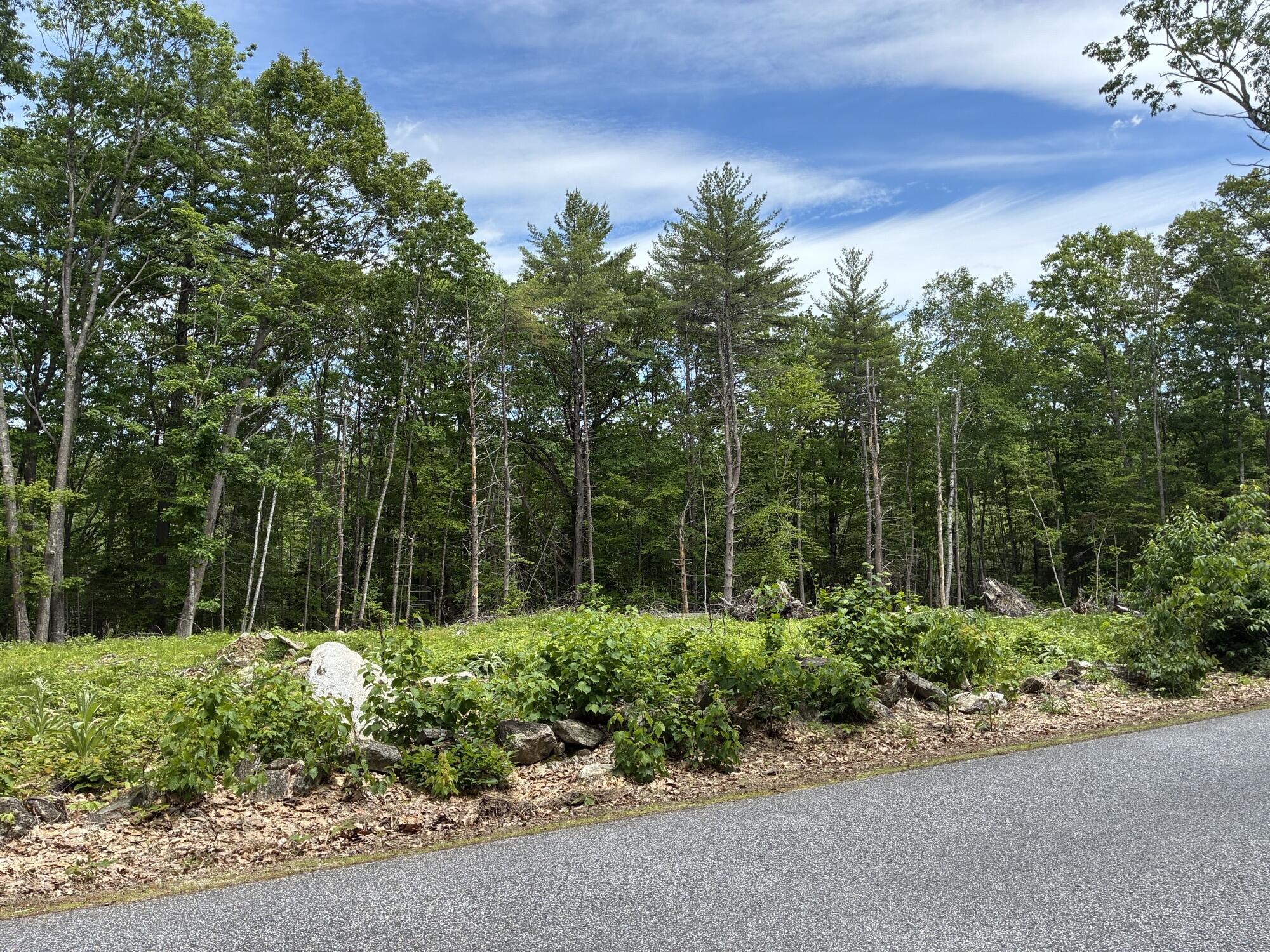 Map7-lot40 Round-The-Pond Road Norway, ME 04268 - Photo 1 of 6 IMG_2062