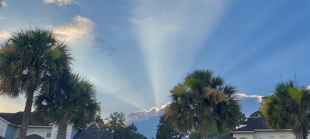 3415 West Anthony Road, Unit 701 Ocala, FL 34475 - Photo 54 of 60